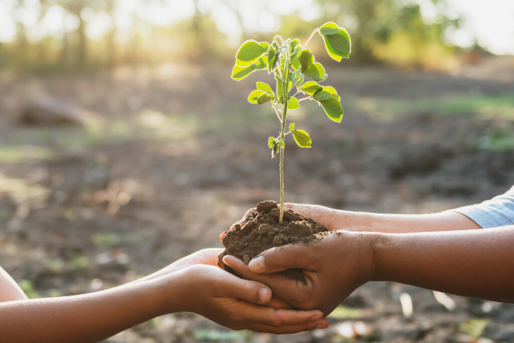 two hand holding young for planting in garden. concept save worl
